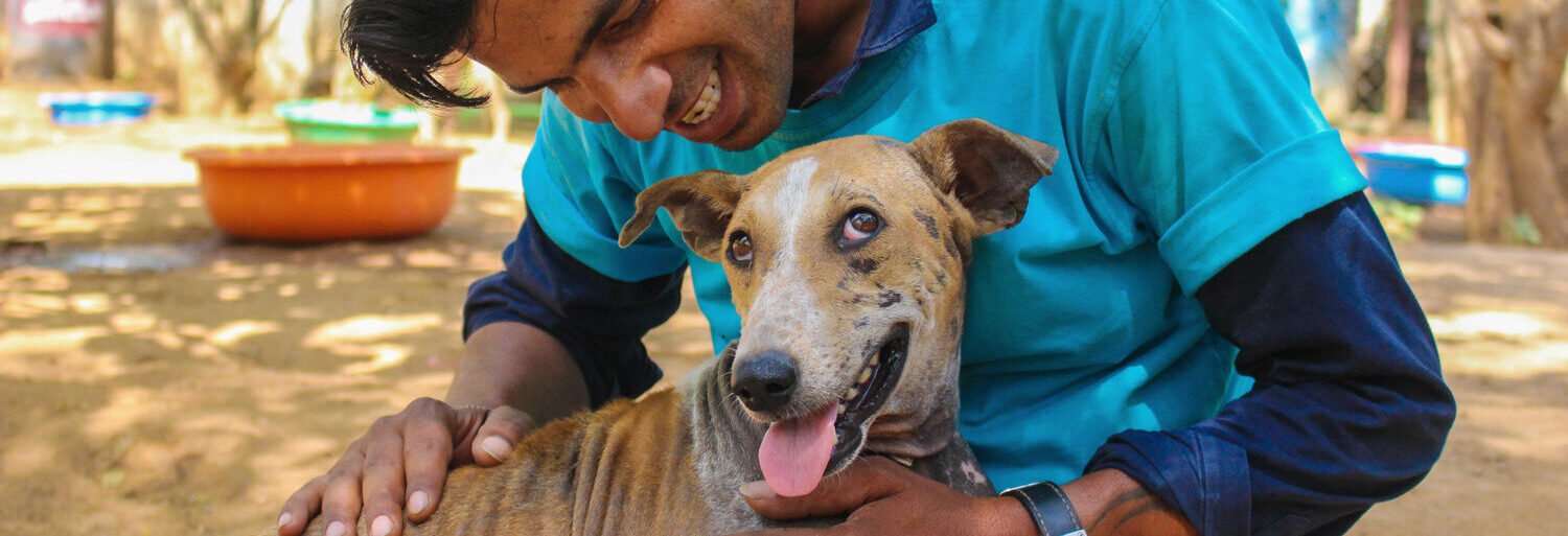 Animal Aid Unlimited (AAU)