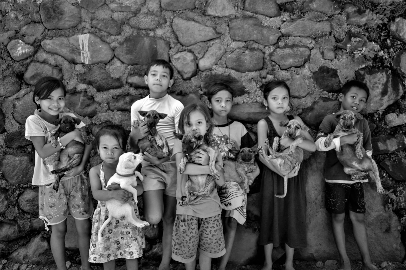 BAWA — Bali Animal Welfare Association