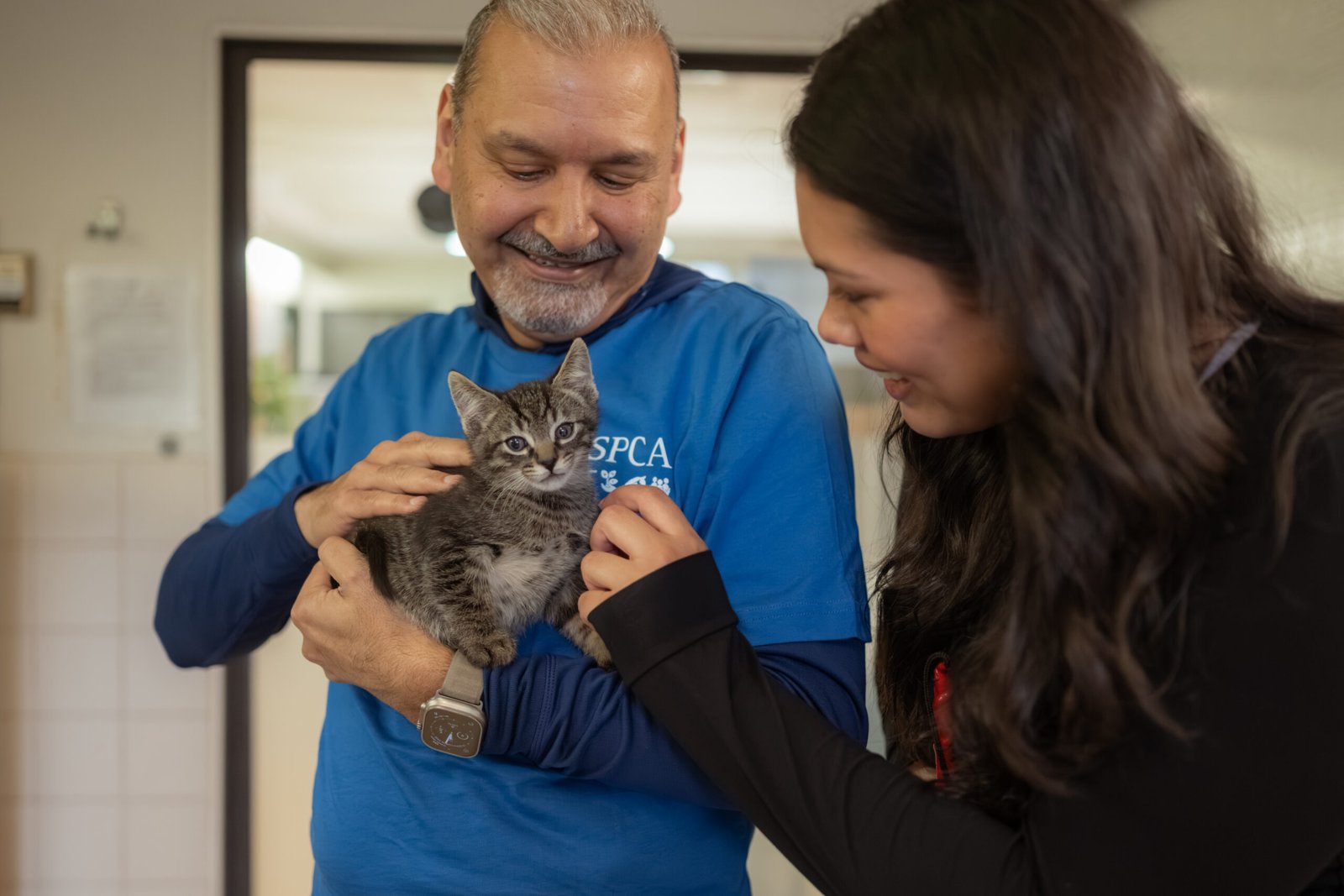BC SPCA — British Columbia SPCA