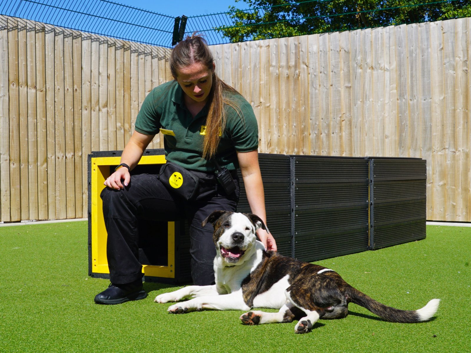 Dogs Trust (UK)