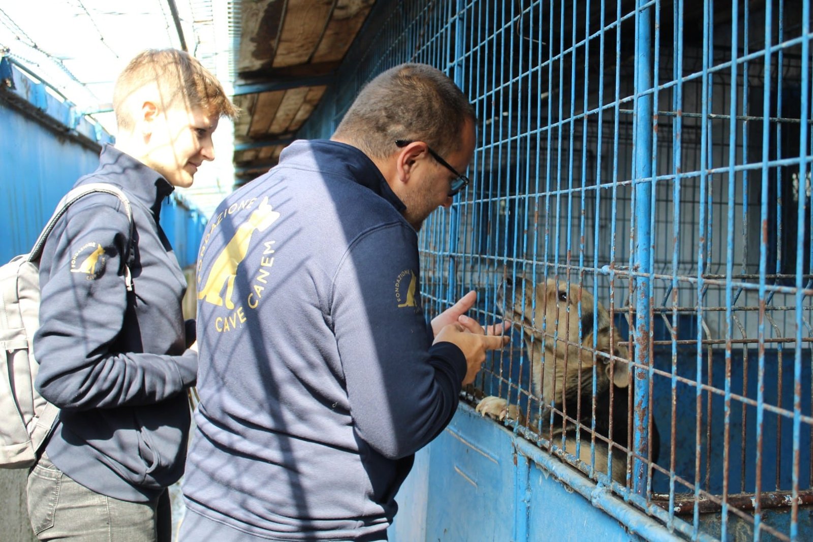Fondazione Cave Canem