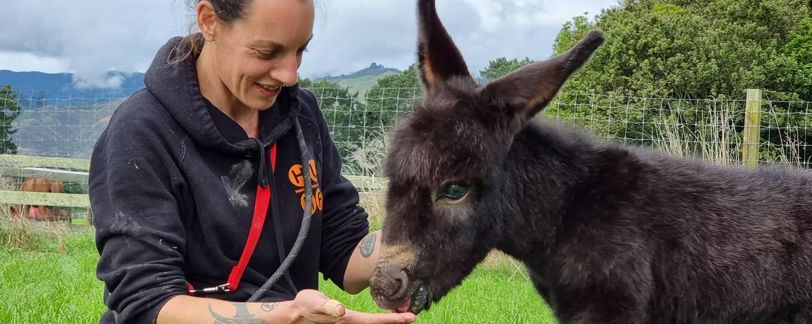 HUHA — Helping You Help Animals