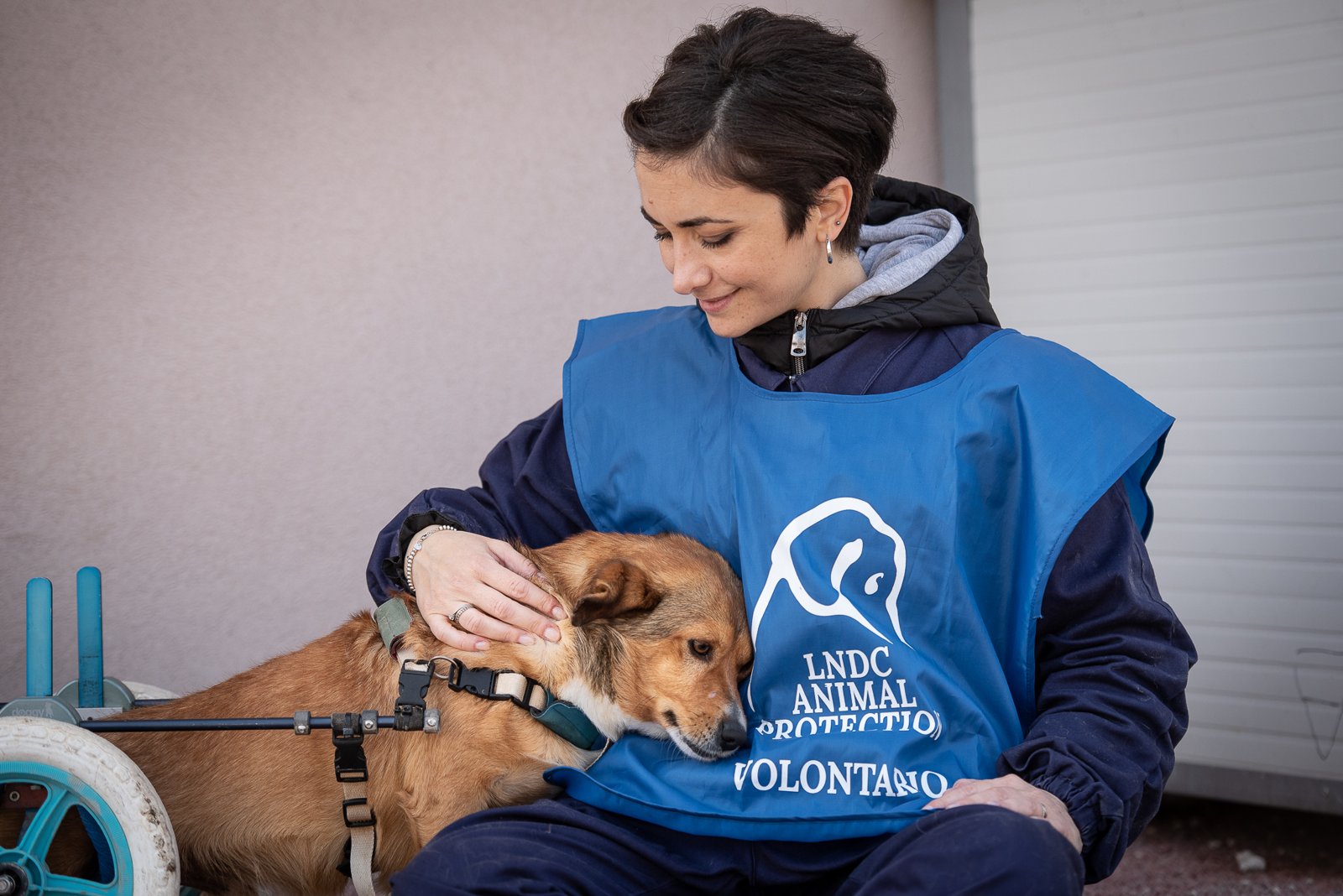 LNDC Animal Protection (Lega Nazionale per la Difesa del Cane)