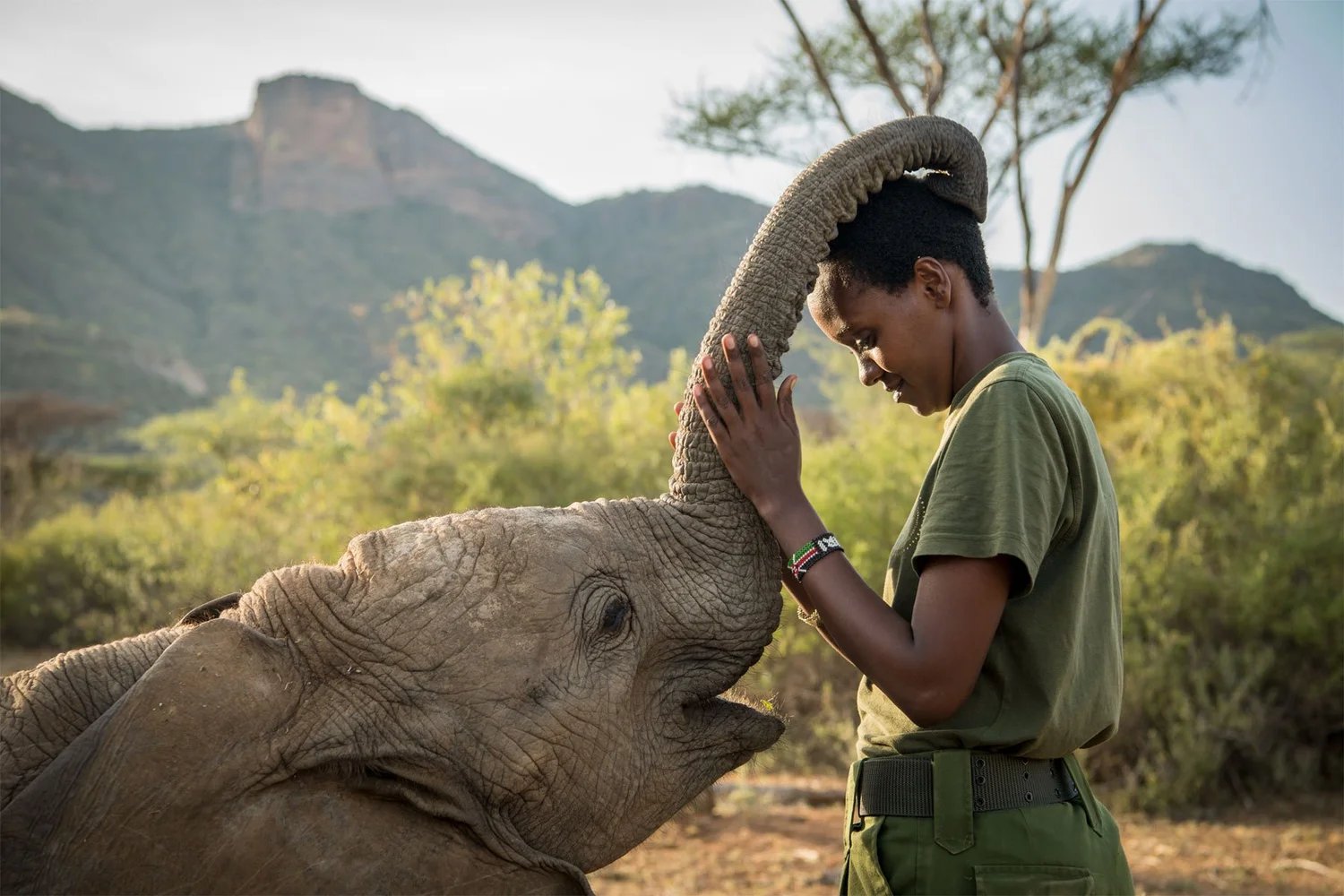 Reteti Elephant Sanctuary