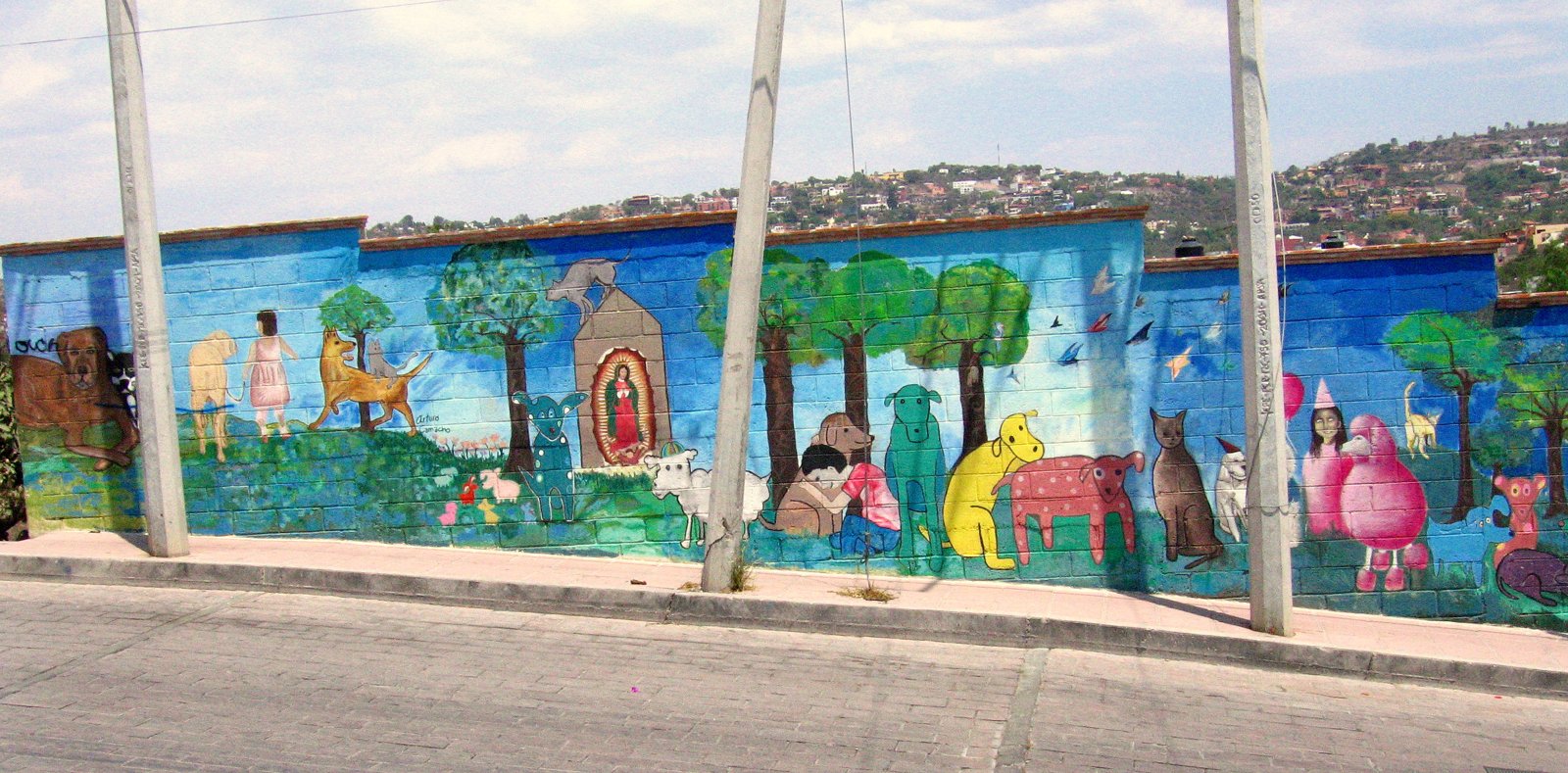 S.P.A. San Miguel de Allende (Sociedad Protectora de Animales)