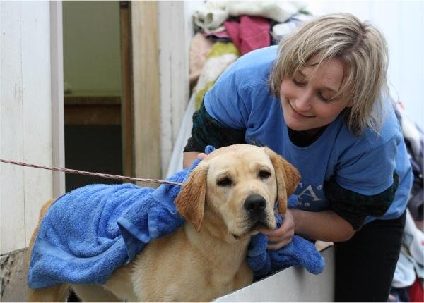 SPCA New Zealand