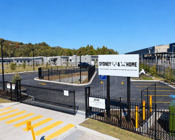 Sydney Dogs & Cats Home