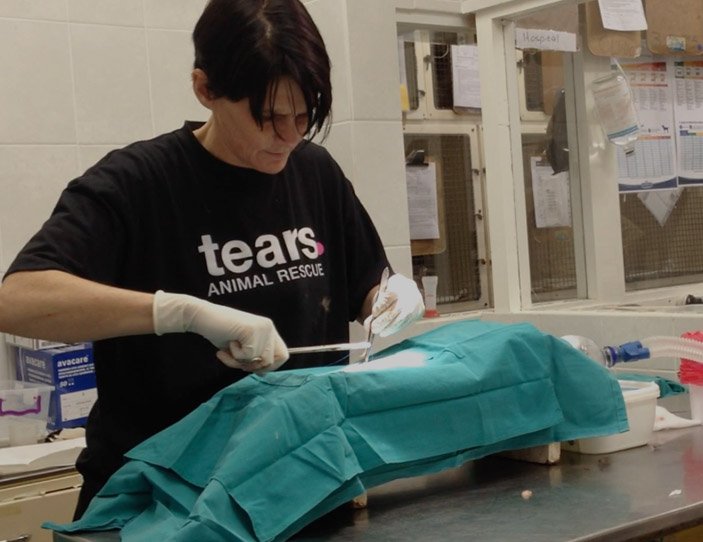 TEARS Animal Rescue (The Emma Animal Rescue Society)