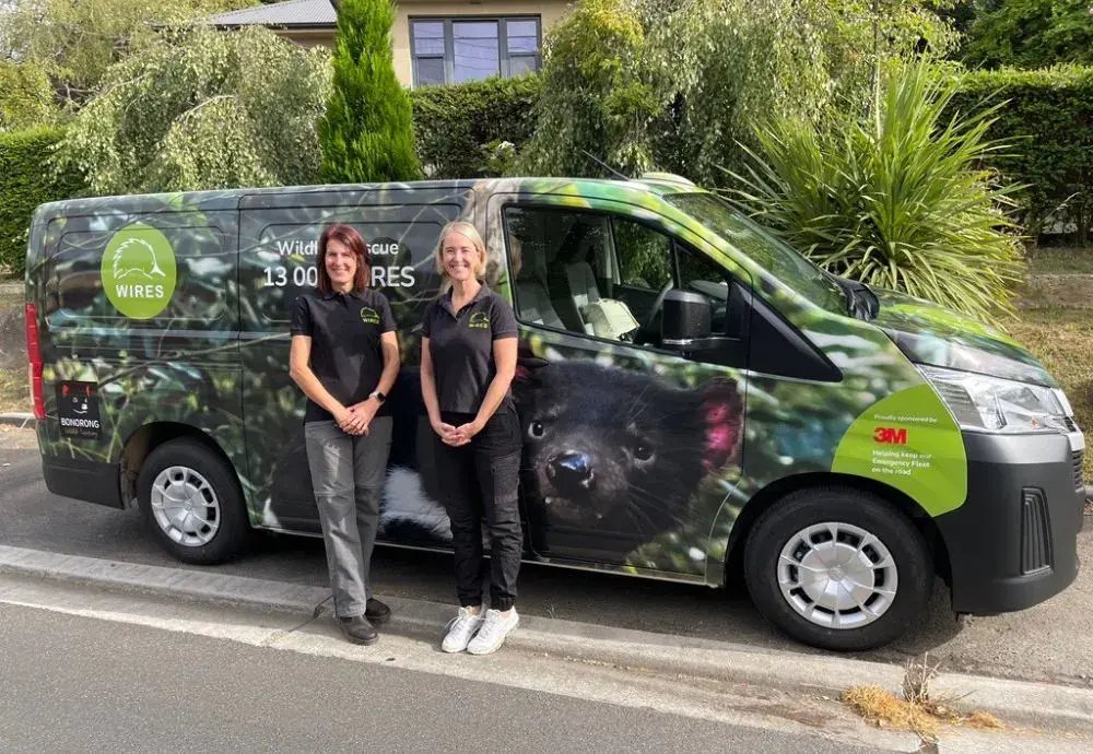 WIRES — Wildlife Information, Rescue and Education Service